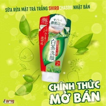 Sữa Rửa Mặt Trà Trắng Shirochasou White Tea Face Wash 120g