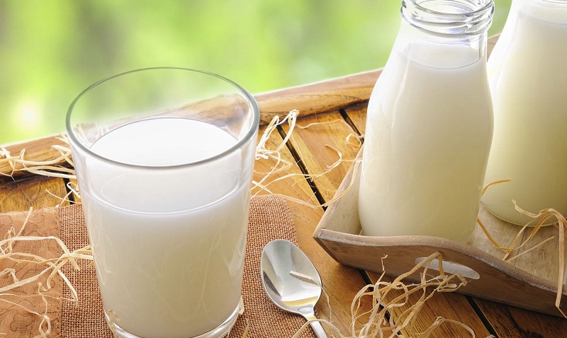 Sữa tươi không đường mang đến khả năng giảm cân cực kì hiệu quả
