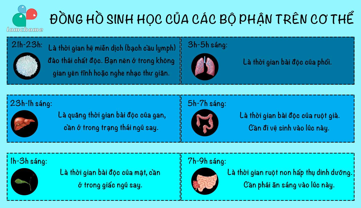 đừng thức khuya