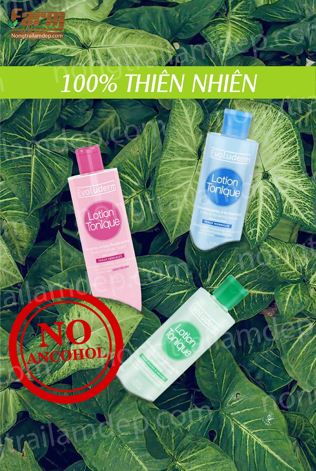 Nước Hoa Hồng Evoluderm