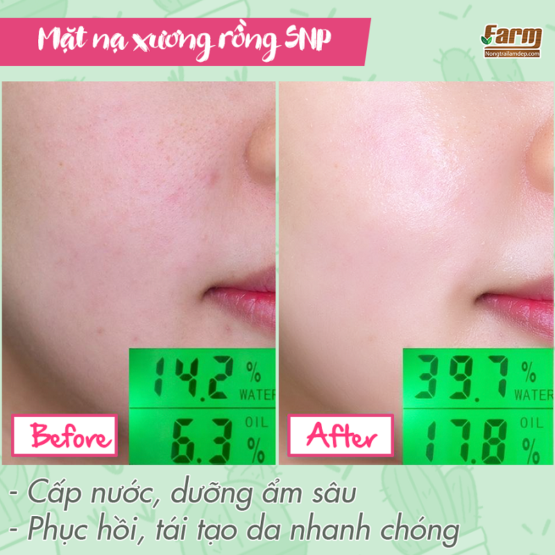 Mặt nạ hoa xương rồng SNP 9