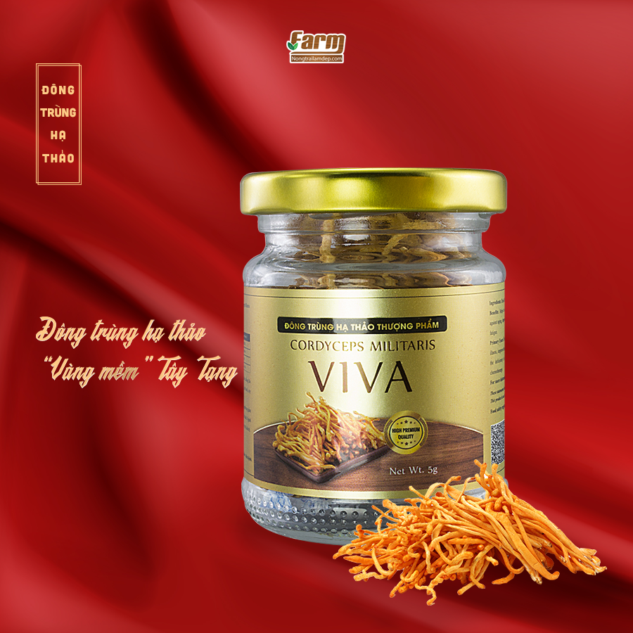 đông trùng hạ thảo thượng phẩm viva 2