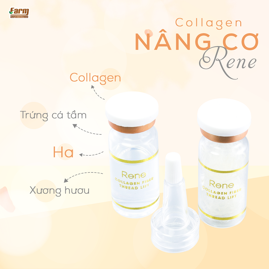 Collagen nâng cơ rene 2