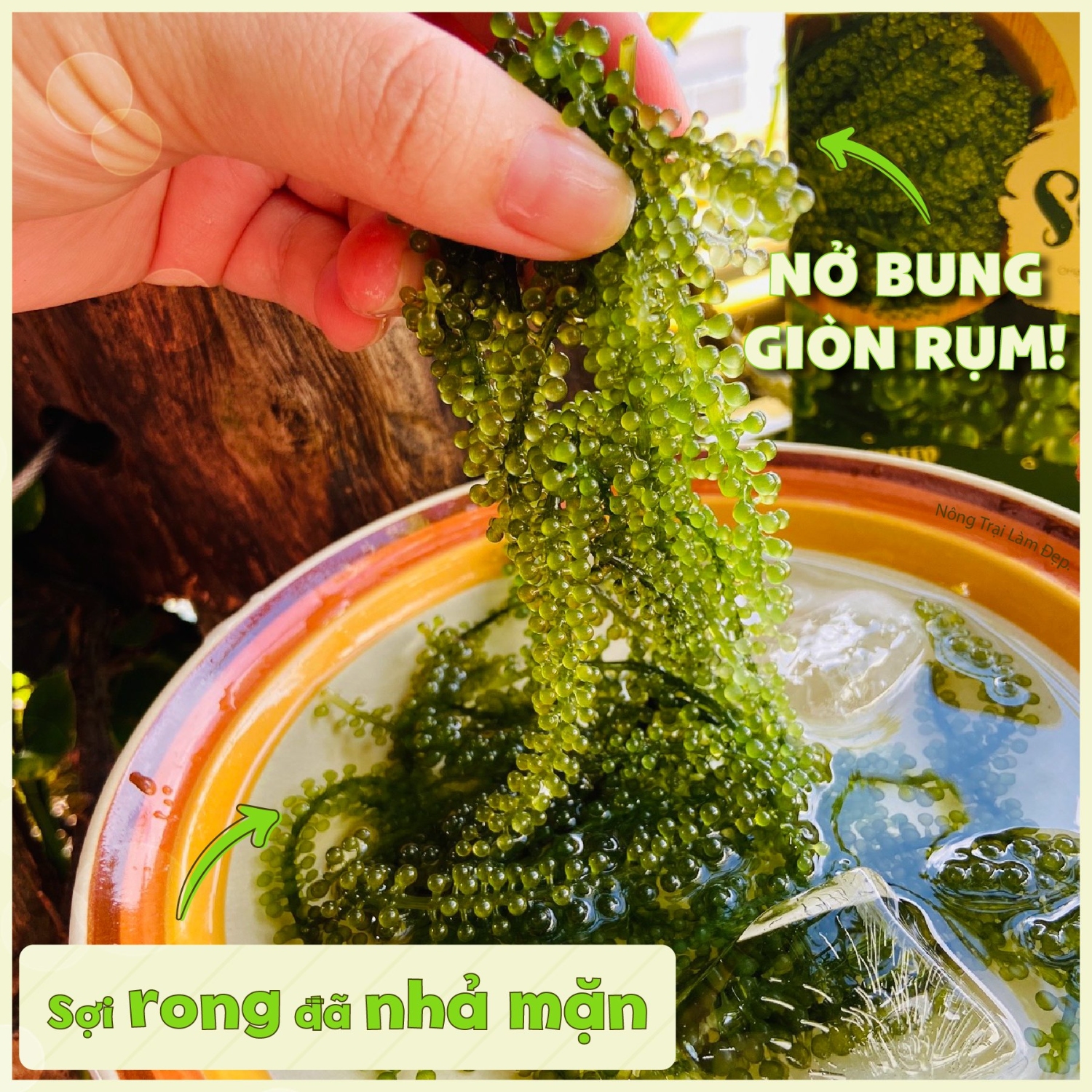 Rong Nho Tách Nước Namiso 150g