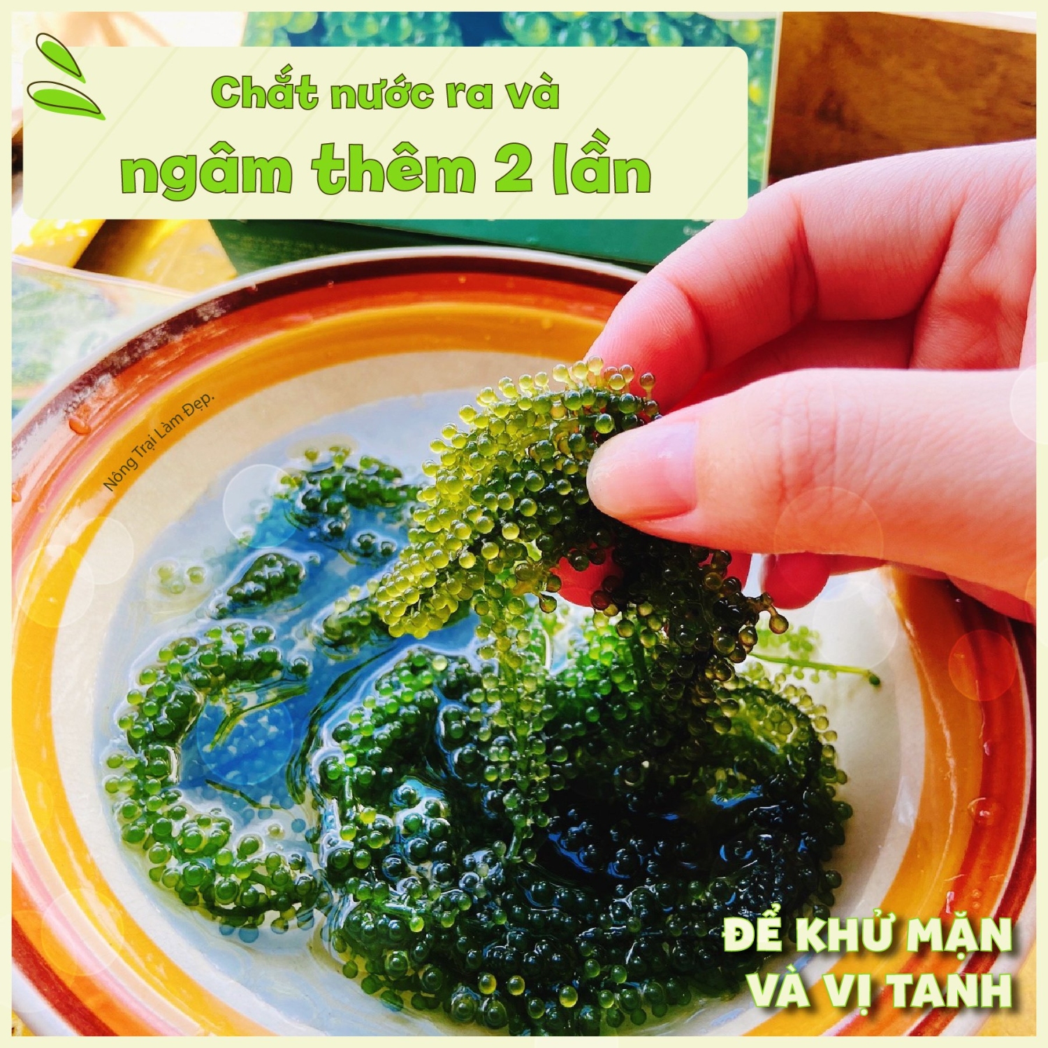 Rong Nho Tách Nước Namiso 150g