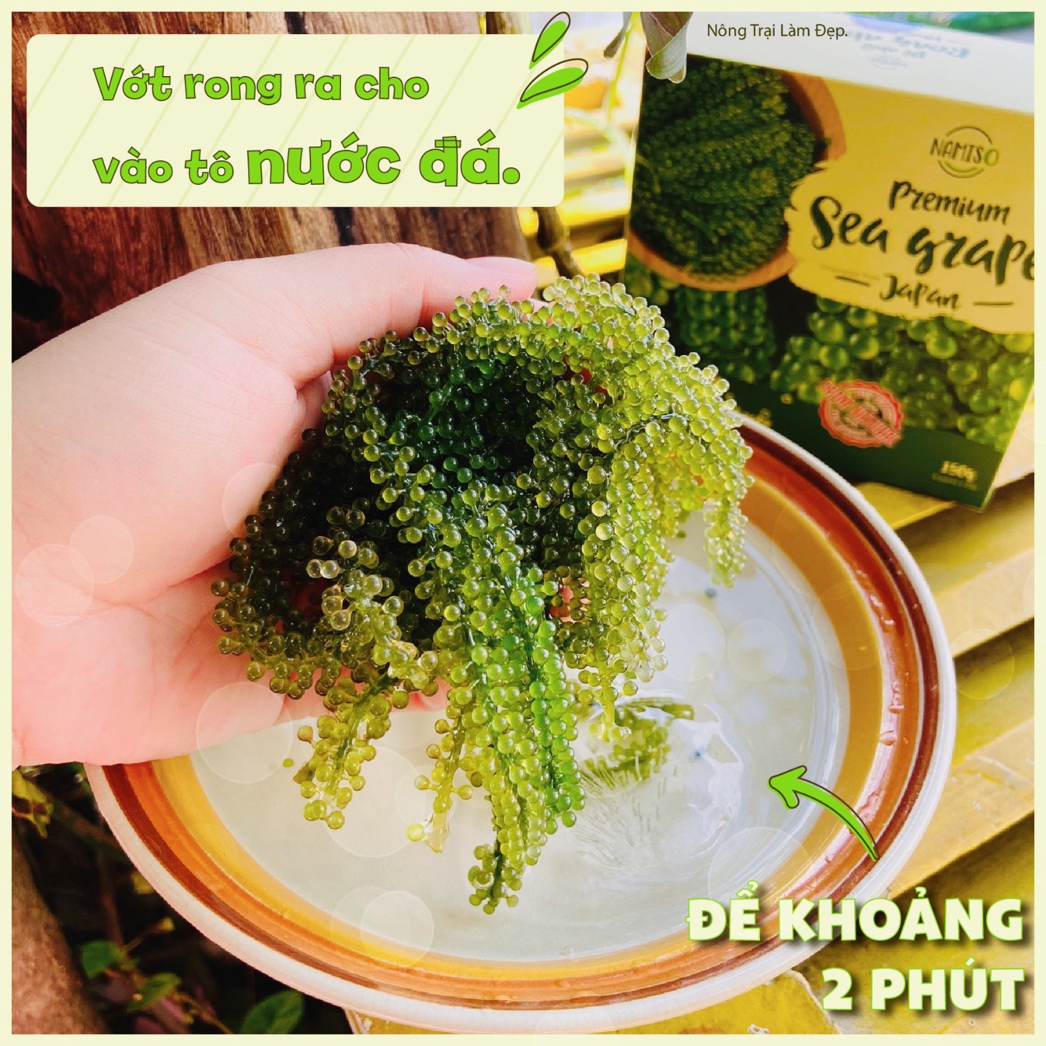 Rong Nho Tách Nước Namiso 150g