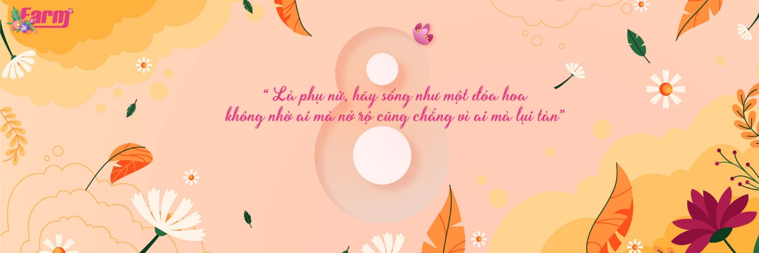 banner t3