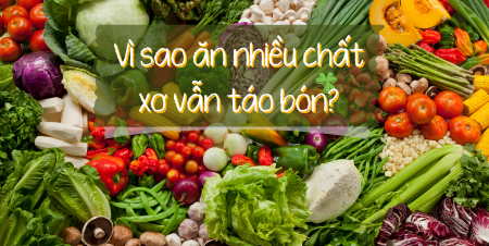 chất xơ