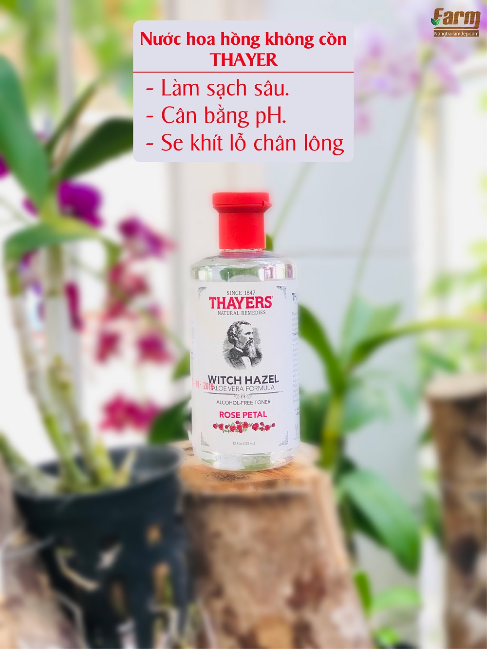 Nước Hoa Hồng Không Cồn Original - Thayers