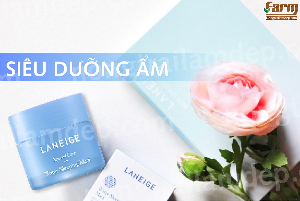 Mặt Nạ Ngủ Dưỡng ẩm Laneige Minisize 14