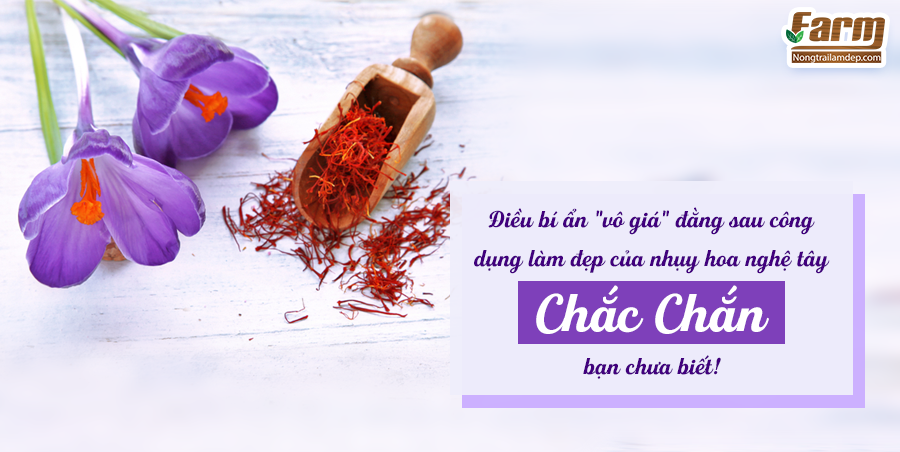 Công dụng làm đẹp của nhụy hoa nghệ tây chắc chắn bạn chưa biết