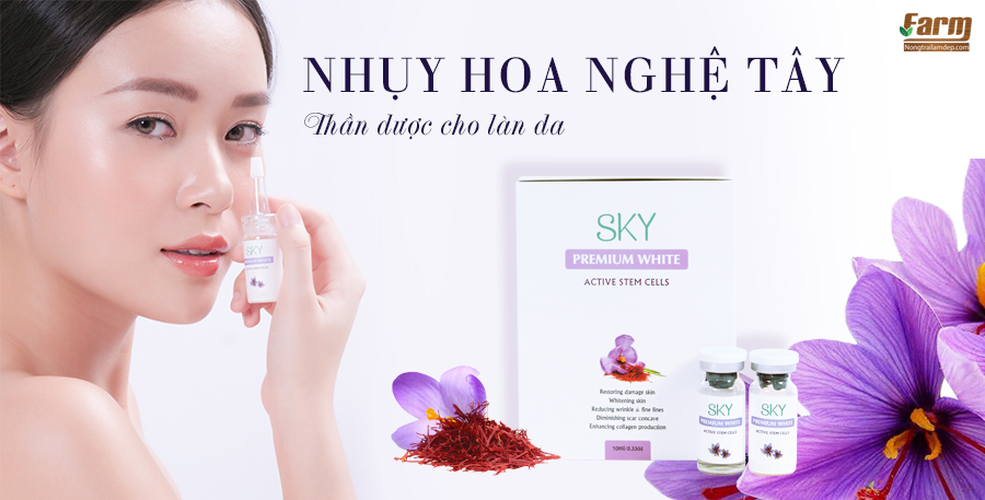 Nhụy hoa nghệ tây – thần dược cho làn da