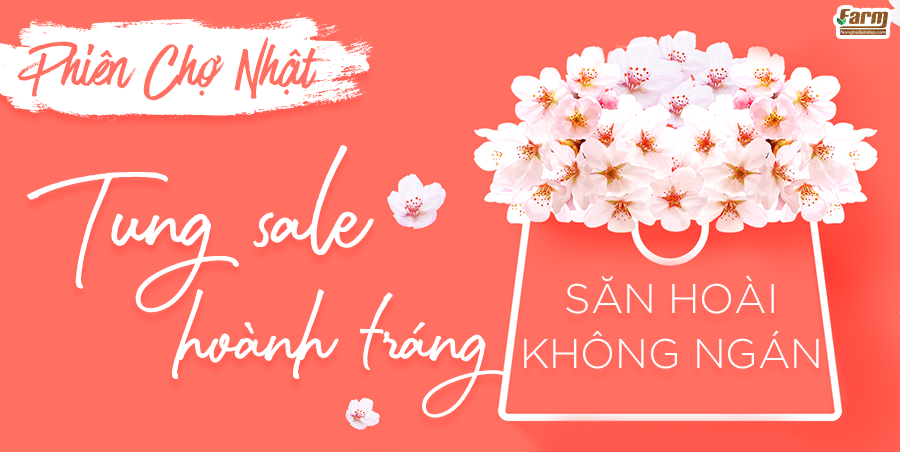 PHIÊN CHỢ NHẬT MỞ MÀN - SALE HOÀNH TRÁNG