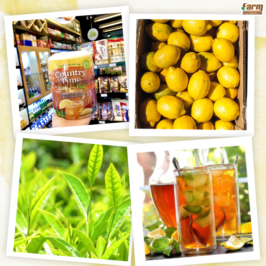 Vị Half Lemonade And Half Iced Tea với vị trà chanh khiến đầu óc bừng tỉnh mọi sáng tạo