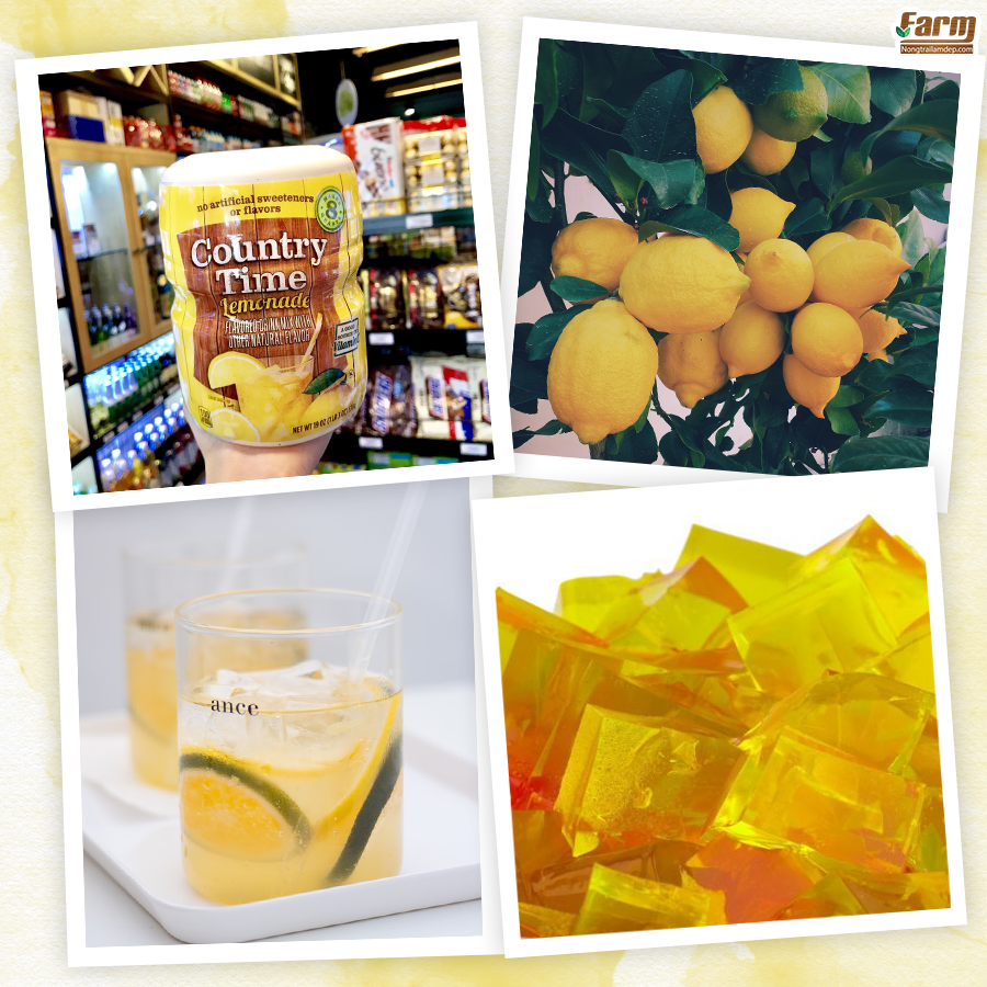 Bột trái cây tươi Lemonade là sự lựa chọn cho cả ngày vàng tươi