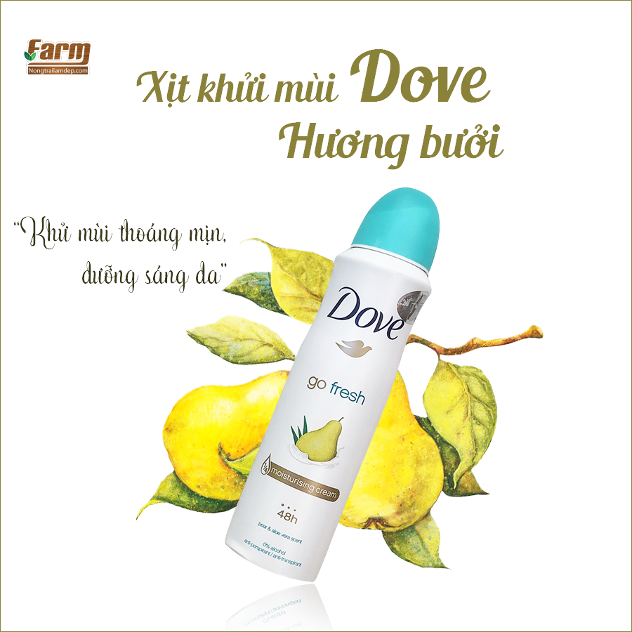 Hương bưởi cho cả ngày dịu êm