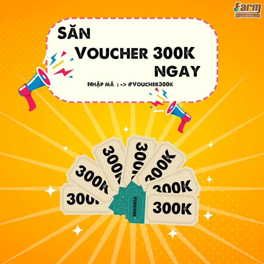 Voucher Mua Hàng Trị Giá 300K