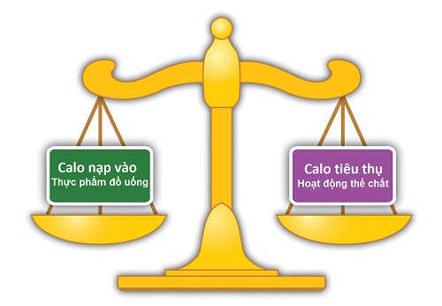 Xác định lượng calo trong thực đơn