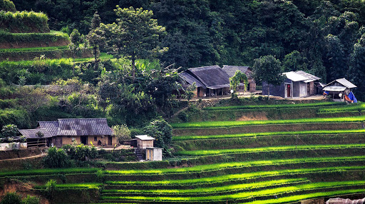 Ta chỉ cần sống bình thường