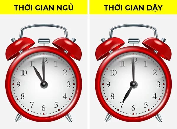 Đi ngủ và thức dậy đúng giờ