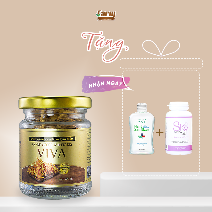 Đông trùng hạ thảo VIVA 10g