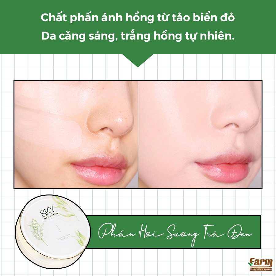 phấn hơi sương serum trà đen sky 3