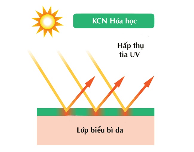 Kem chống nắng hóa học 