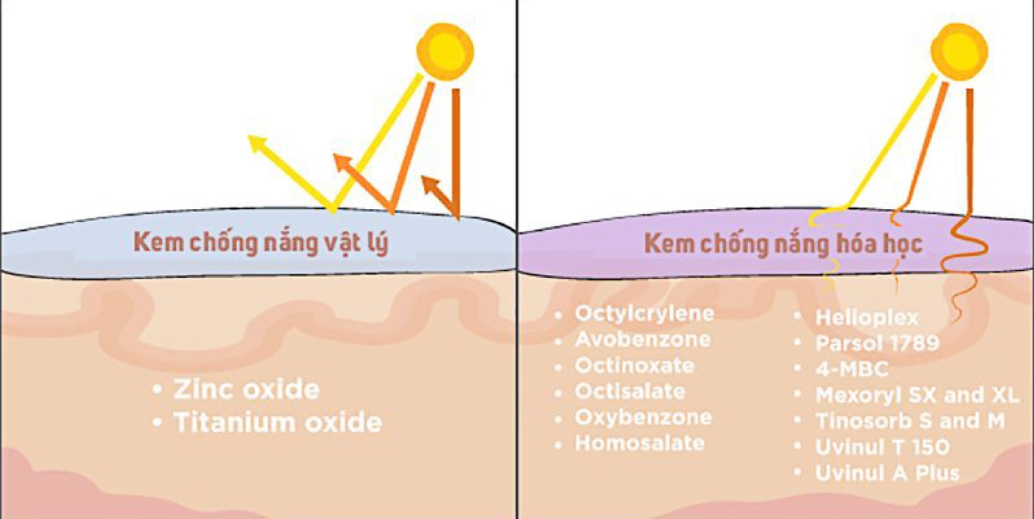 Điểm khác biệt giữa kem chống nắng “hữu cơ” và “vô cơ”bạn đã biết?