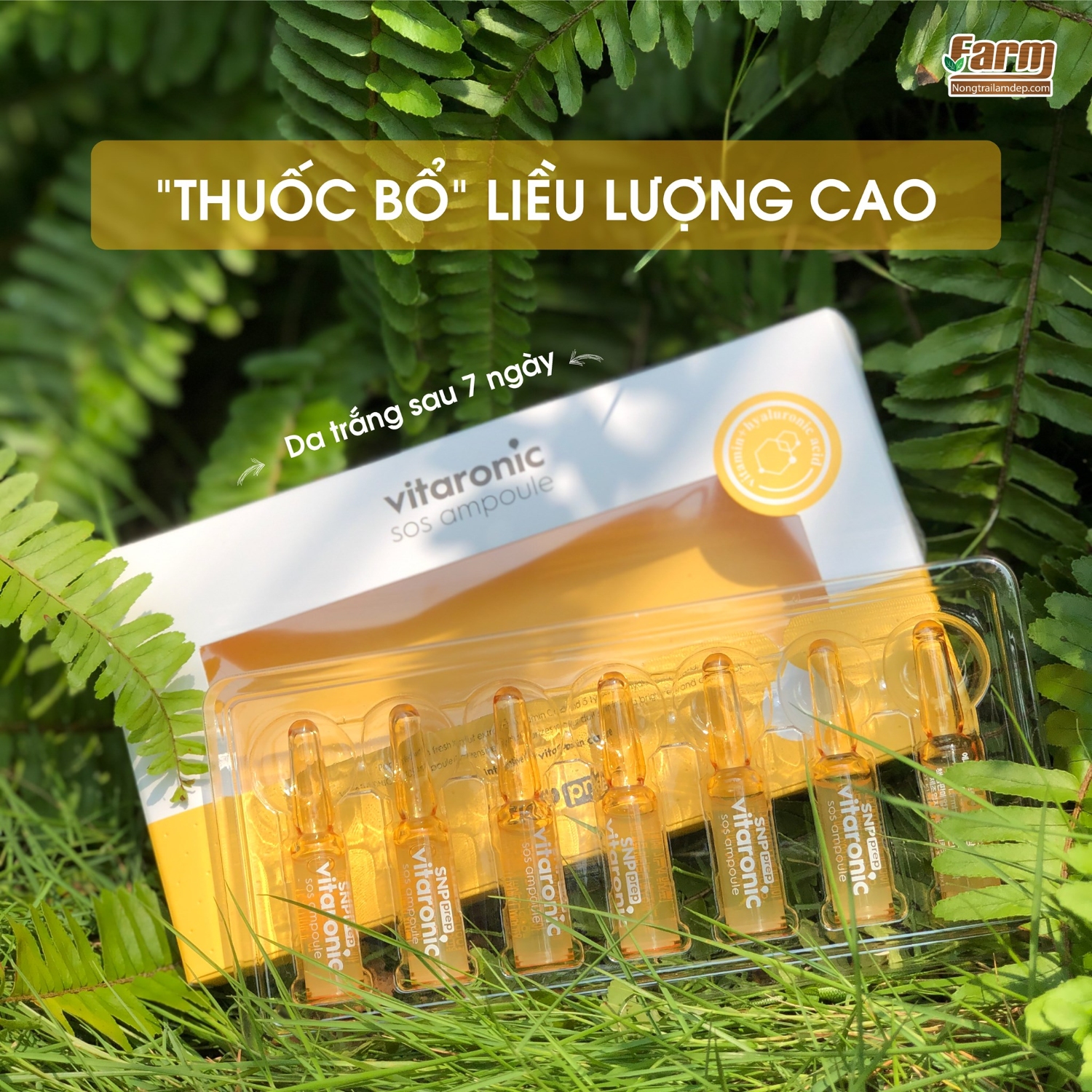 6 Tác Dụng Dưỡng Da Tuyệt Vời Của Vitamin C Mọi Cô Gái Nên Biết