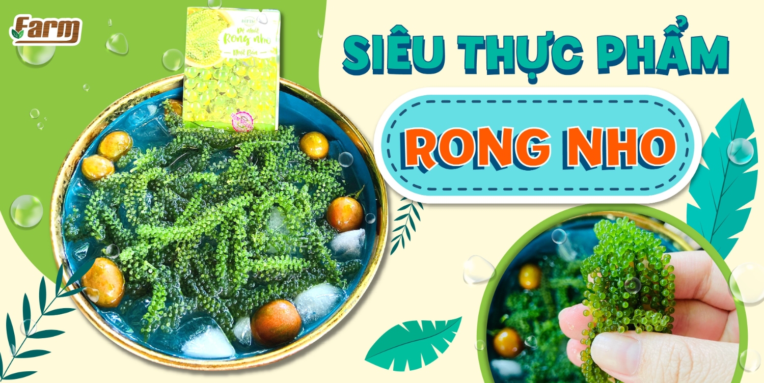 Rong nho là gì? Tác dụng của rong nho đối với sức khỏe như thế nào?