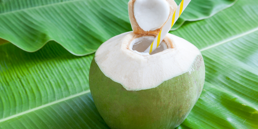 coconut trước