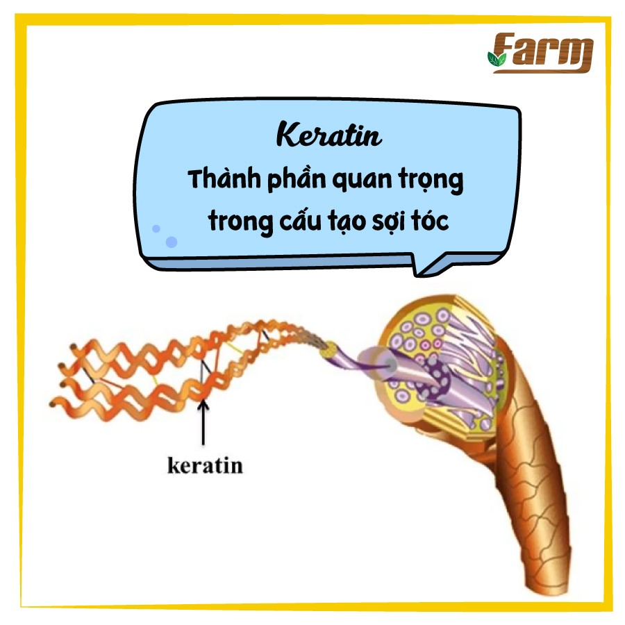 Tổng hợp cách kích thích tóc mọc nhanh và dày dễ thực hiện