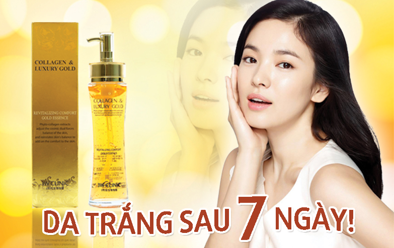 banner collagen (1)