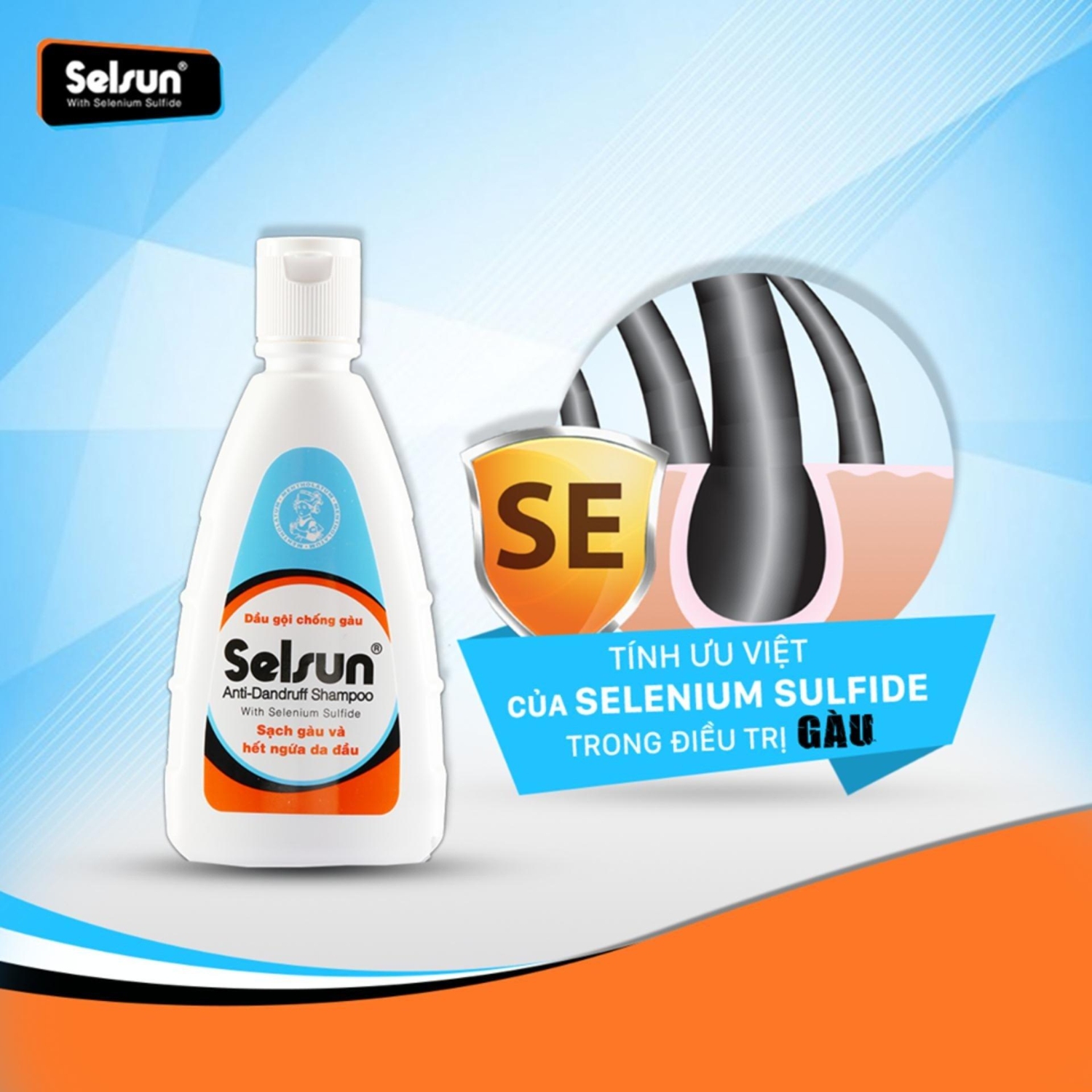 Combo Gội Xả Đặc Trị Gàu Selsun 1