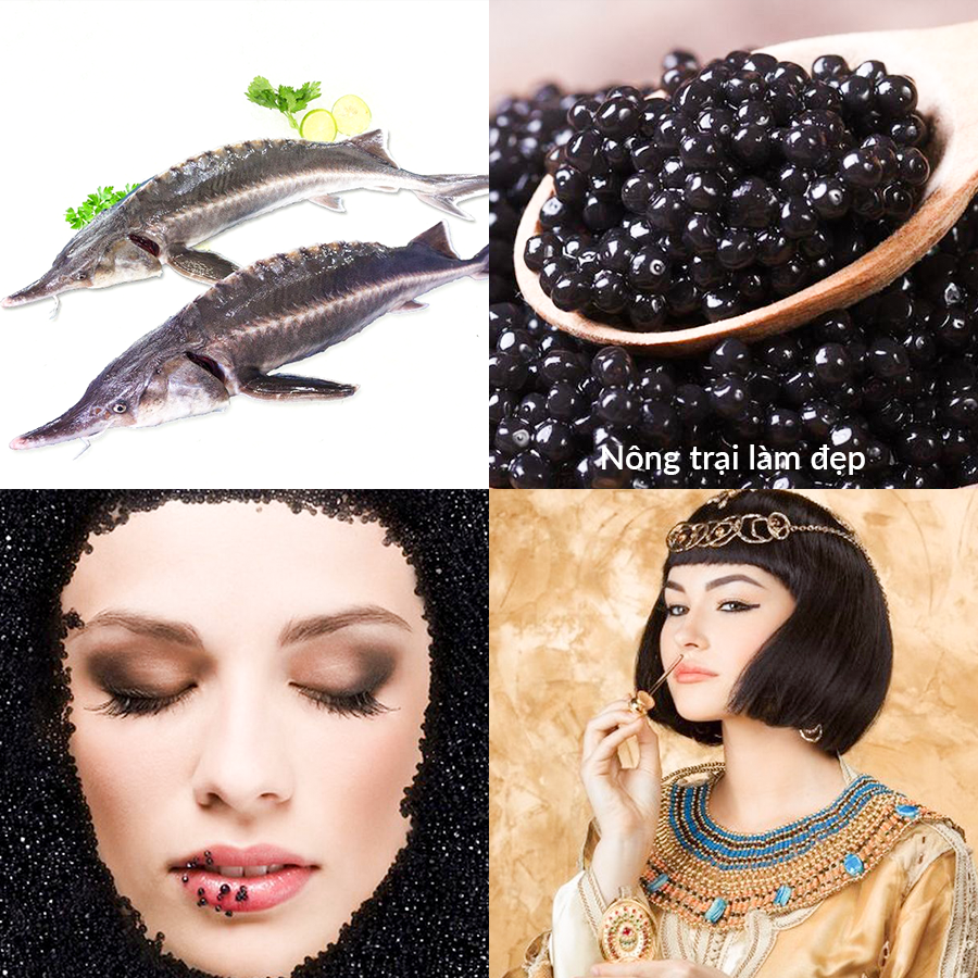 Kem Nước Trứng Cá Tầm & Trà Đen SKY