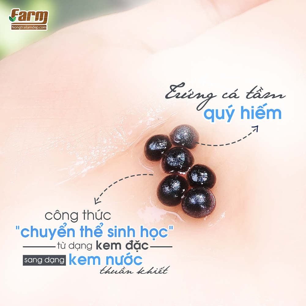 Kem Nước Trứng Cá Tầm & Trà Đen SKY