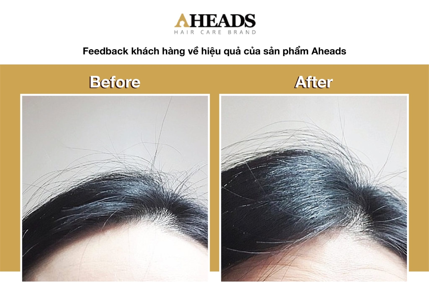 Xịt phồng tóc Aheads Vomlume Mist