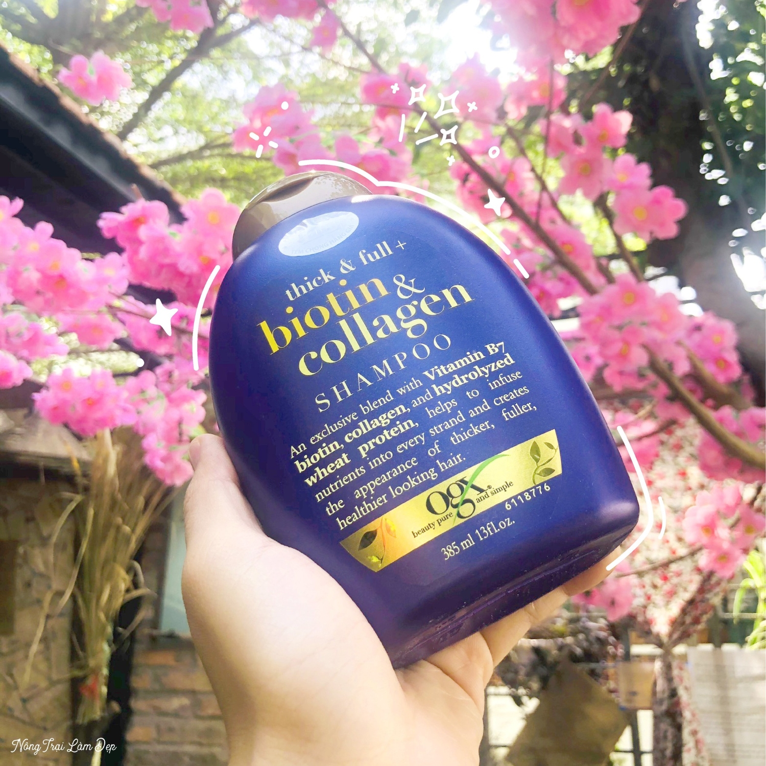 Dầu Gội Biotin & Collagen 